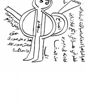 Tecri mağribi tercümesi 126 sayfa