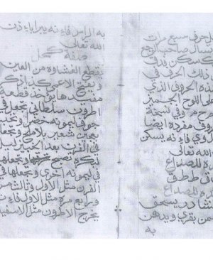 312-Eşşeytân fî tehsîri rûh. 2. cüz 310 sayfa arapça yazma