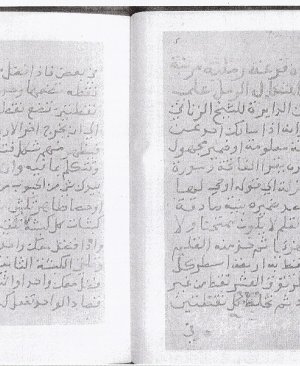 361-seyh zennani ismail 185.sayfa arapça yazma