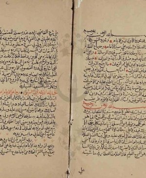 187-Tuhfetul muridin şerhi vesiletul mübtediîn Ali Meyas eş Şâfi 90 sayfa Hicri 1299 yılı arapça yazma
