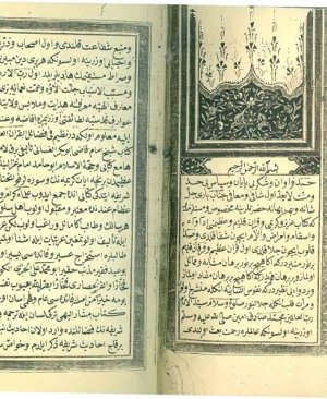 2-Şifâ-i ebdânul merdâfî şerefi menâfiul kurân.Hafiz İbrahim Bin Hafiz Muhammed 586 sayfa Hicri 1209