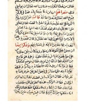 13-Elfevâid Ves Salâti vel Avâyid. İmam Eşşereci. 353 sayfa