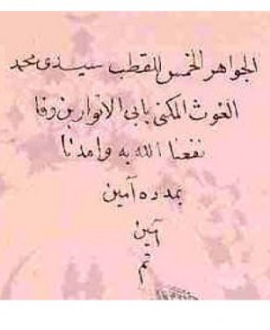 14-Elcehâhirul hamsel kutb. Seyyidi Muhammedul Kavsul Mekniyyi Hicri 1294 yılı. 461 sayfa